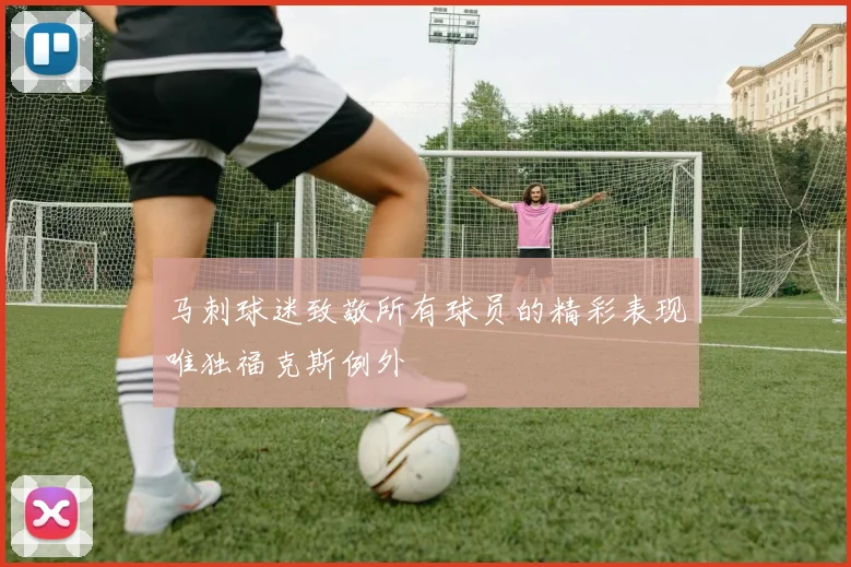 马刺球迷致敬所有球员的精彩表现唯独福克斯例外